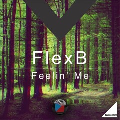DMR009 - FlexB - Feelin Me (Original Mix) OUT NOW! [Digiment Records]