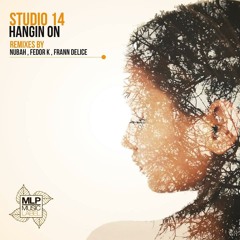 Studio 14 - Hangin On - Preview - Out Now!!! On MLP Music Label
