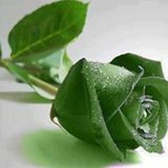 တိတ္တိတ္ေလးေၾကကြဲ♪ဂေရဟမ္+ရတနာဦး