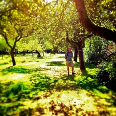 Logan 5-English Orchard