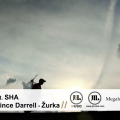 DJ mlaDJa feat. Sha & MC Yankoo & Prince Darrell - Zurka (2K13 RMX)