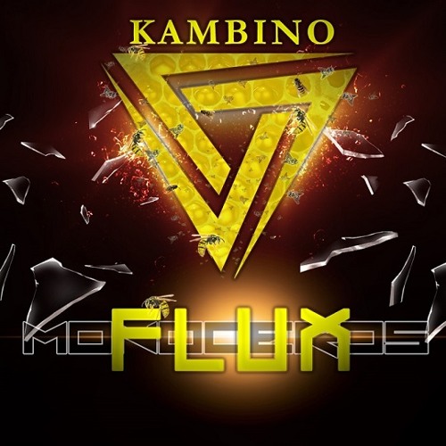 KamBINO - Flux