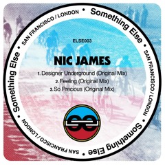 Nic James - So Precious (Original Mix)