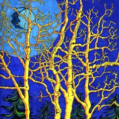 Un pensamiento Tranquilo