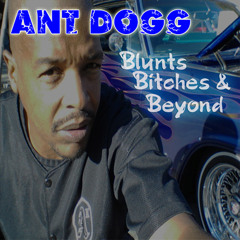 GET THE FUCK OUT OF HERE ANT DOGG