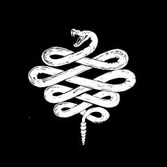 Furious The Monkey Boy