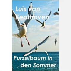 Luis van Beathoven - Purzelbaum in den Sommer
