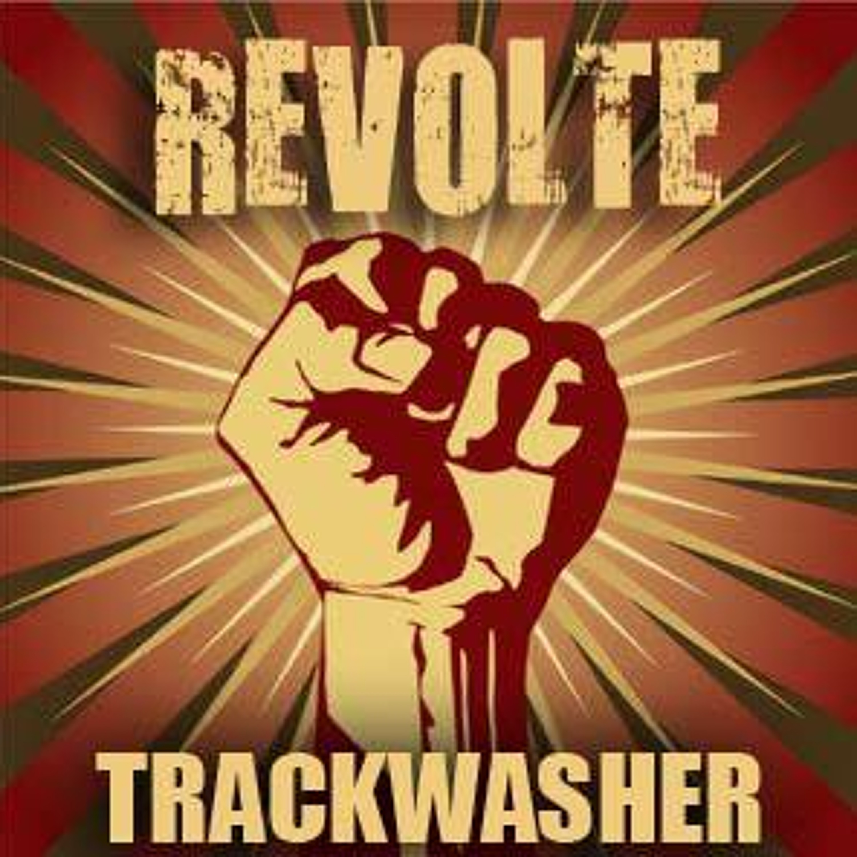 trackwasher