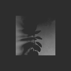 6 ◆ Basic House