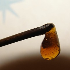 Brooker Wood + Chill Spector - Dab!