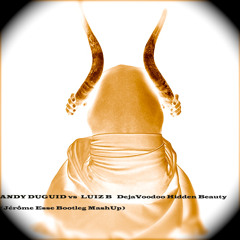 Andy Duguid vs Luiz B - DejaVoodoo Hidden Beauty (Jérôme Esse MashUp)
