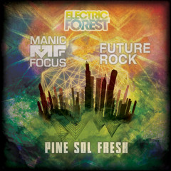 Pine Sol Fresh (Manic Focus and Future Rock)