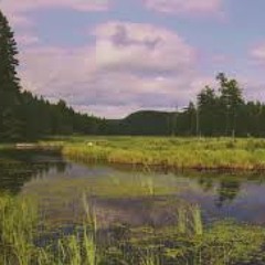 Cameron Wentworth-I Feel So Borrowed