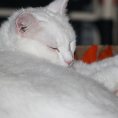 Mindfuck in your headphones