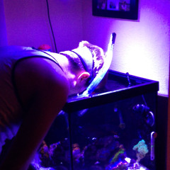 Fishing in a Swim Tank