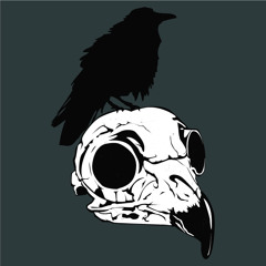 Madnesskey-Rara Avis