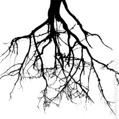 Фра-Зрить в корень(раунд 2)