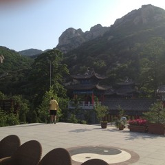 Ridan - L'agriculteur REMIX -  Breakbeat/Core + extra (masteuring bourriné)