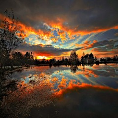 Empty Acknowledgements 6/19/13 (Demo)