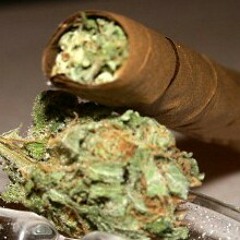 Same Damn Time Rhyme at My Room Bitches