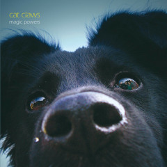Cat Claws - Magic Powers