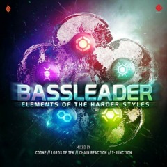 Bassleader ! (Official Raw Anthem 2013)