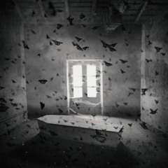 Stolen Babies - Lifeless