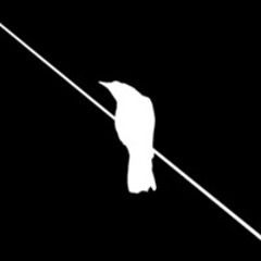 Tom Hettmer - White Crows (Free Download)