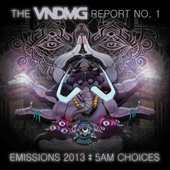 VNDMG Report 01 - Emissions 2013: 5am Choices