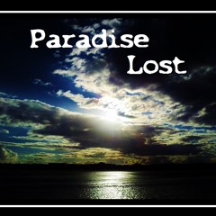 Paradise-The Irate Pirate