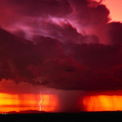 In the Ending twilight of the storm