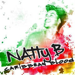 NattyB Feat. King Milo & Mr Skandal - Dancehall We Bring