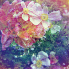 Shoegaze7171