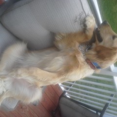 VI. Lacramosa (from The King's Requiem by Lamene N. Davis)