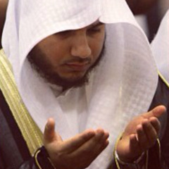 ان قل زادي
