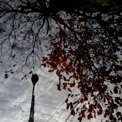 saturday 14:32 pm - breakingrules