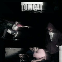 TOMCAT ATTACK - Hotel California (Version) at Pasar Seni Ancol (LIVE)