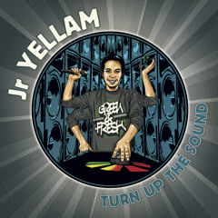 Jr Yellam - Turn Up The Sound [Album Megamix 2013]