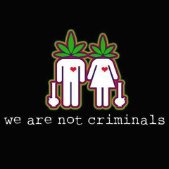 Koztek - Sativa Teknoidal