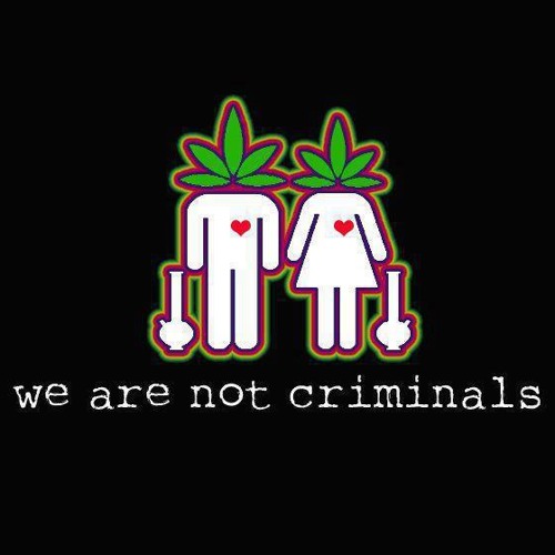 Koztek - Sativa Teknoidal