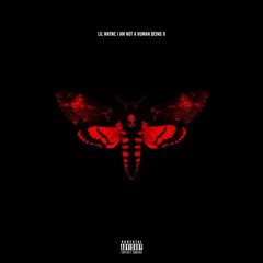 Lil Wayne - Gunwalk (Feat. Gudda Gudda)