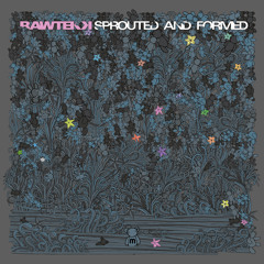 Rawtekk - Skrotum Left Its Dwelling