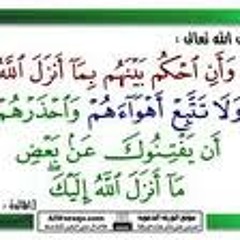 (أَفَحُكْمَ الْجَاهِلِيَّةِ يَبْغُونَ وَمَنْ أَحْسَنُ مِنَ اللَّهِ حُكْمًا لِقَوْمٍ يُوقِنُونَ)