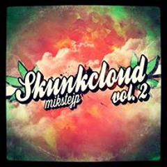 01-SkunkCloud
