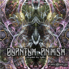 Illustrator - Carnaval Designer (Quantum Animism VA - Purple Hexagon Rec)