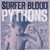 Artwork for Surfer Blood Interview
