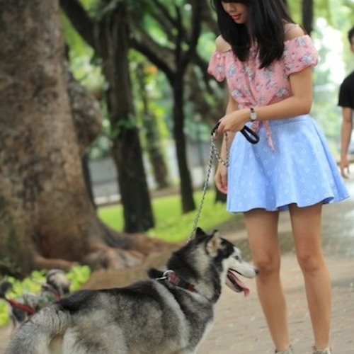 Dinda - When You Say Nothing At All