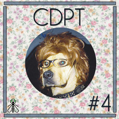 CDPT #4