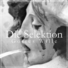 [a+w 7"003] DIE SELEKTION - Gottes Wille (Snippet)