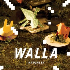 WALLA - Crazy World